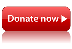 Donate Now red button