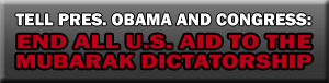 Button: End all U.S. aid to the Mubarak dictatorship